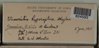 Image Associated With the Occurence